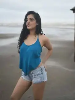 Working Girl jodhpur call girl